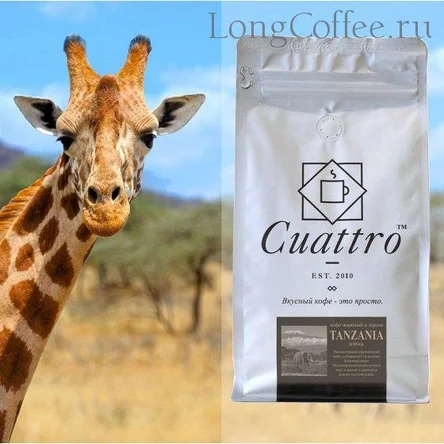 TANZANIA KILIMANJARO AA